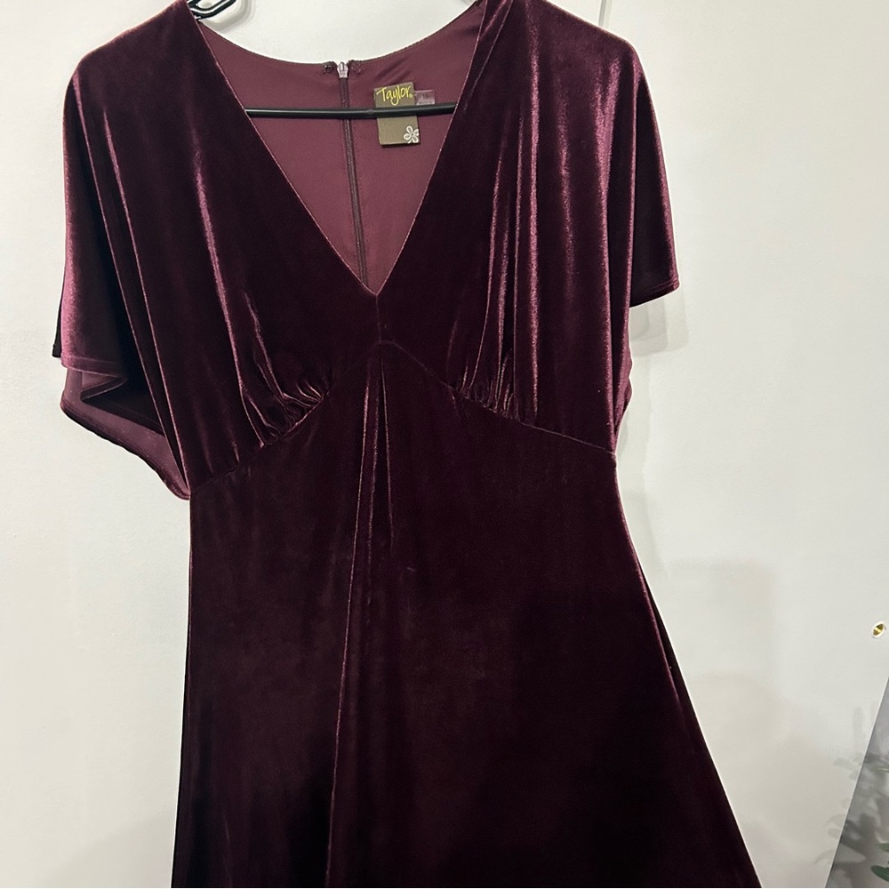 Taylor Velvet dress